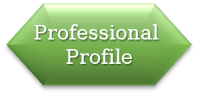 Professional Profile